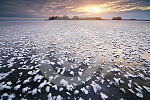 Rime on frozen ice. photo