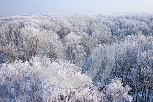 Rime and hoarfrost covering trees. Aerial view of the snow-covered forest and lake from above. Winter scenery. Landscape photo