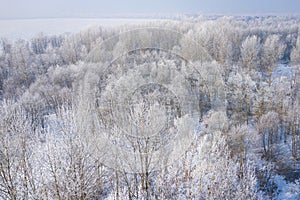 Rime and hoarfrost covering trees. Aerial view of the snow-covered forest and lake from above. Winter scenery. Landscape photo