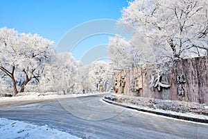 The rime and road