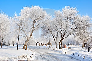 The rime and snow and path scenic