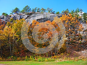 Rimmon Rock and Foliage