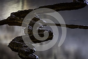 Rimstone Dam Edges, Akiyoshi Cave photo