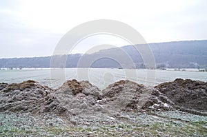 Rimy manure heaps