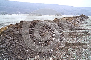 Rimy manure heaps