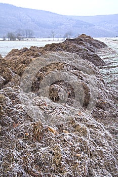 Rimy manure heaps