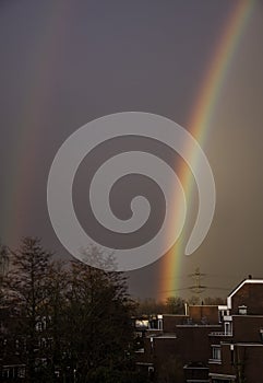 Rinbow colors photo