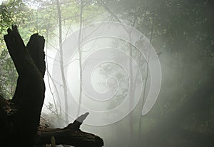 Rincon de la Vieja National Park, Costa Rica