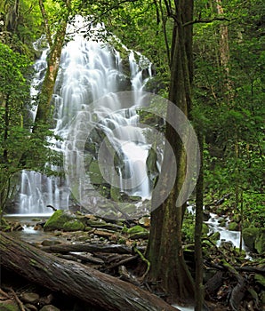 RincÃÂ³n de la Vieja Seasonal Waterfall photo