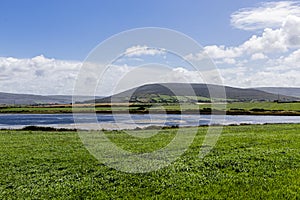 The Rine park on a sunny day