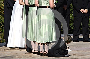 Ring bearer photo