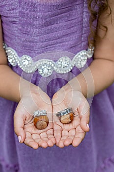 Ring Bearer with Wedding Rings photo