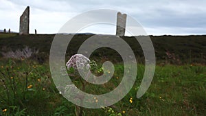 The Ring of Brodgar located in Orkney