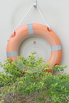 Ring buoy hanging on the wall