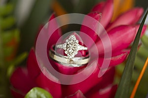 Ring Details in a wedding flower.