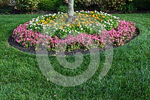 Ring of flowers around the base of a tree, lush green grass copy space