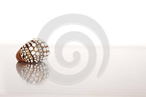 Ring with pearls