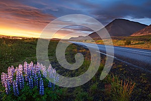 Ring road around Iceland