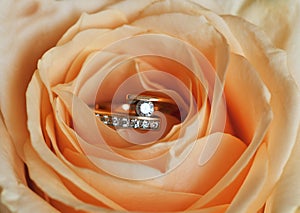 Ring in rose