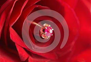 Ring with ruby in red rose