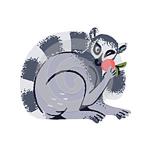 Ring tailed lemur eating fruit. Cute Catta with fluffy striped tail rest. Funny small monkey, adorable Madagascar