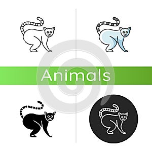 Ring tailed lemur icon