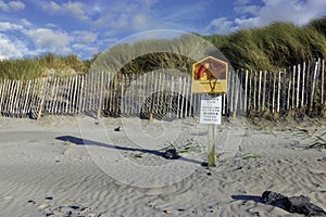 Ringbuoy on the beach