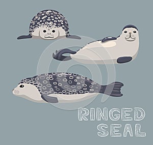 Ringed Seal Cartoon Vector Illustration