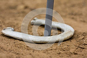 Ringer in horseshoe game