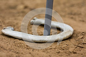 Ringer in horseshoe game photo