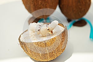Rings on the coral in coconuts in the sand.