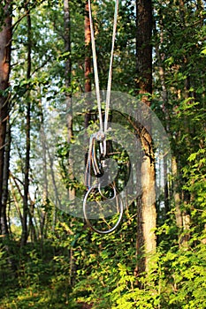 rings hanging from a tree in the forest to practice bondage and shibari in nature. concept of BDSM. reportage survey.
