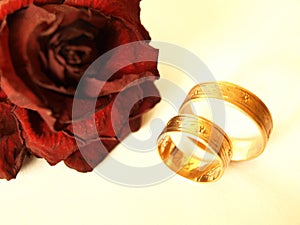 Rings & Rose