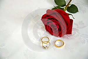 Rings and Roses