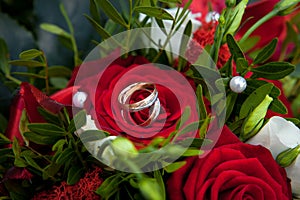 Rings on roses