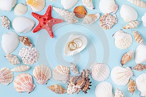 Rings on a shell, a decor for a wedding table on the shells frame background