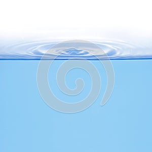 Rings on water isolated