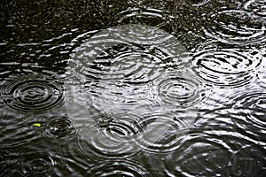 Rings of a water ripple, Ripple on water