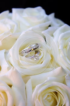 Rings in white roses