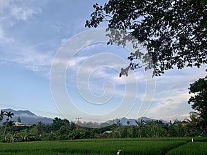 Rinjani mountain after the rain