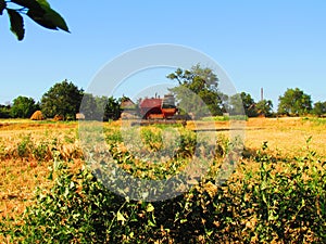 Rinks for agriculture.