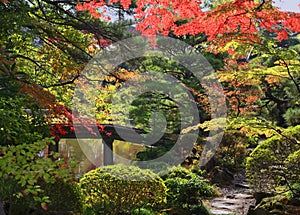 Rino chrám zahrada 