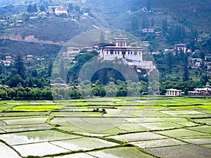 Rinpung Dzong and rice fields, Paro, Bhutan