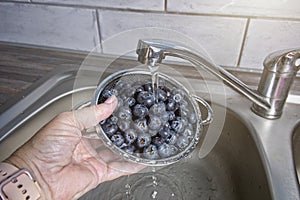 Rinsing blueberries in a stainless steel colander under running water