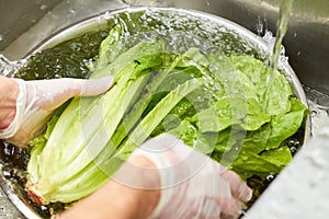 Rinsing lettuce in a bowl of water and flowing tap water.