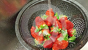 Rinsing Strawberries