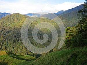 Rio Blanco National Park, Colombia