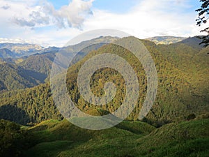 Rio Blanco National Park, Colombia