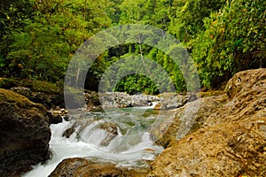 Rio Carate, Corcovado NP, Costa Rica. Tropic river with green vegetation. Landscape from Central America. Jungle with trees ad