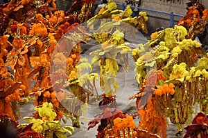 Rio Carnival